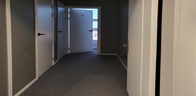 스타테라피 (강릉교동)