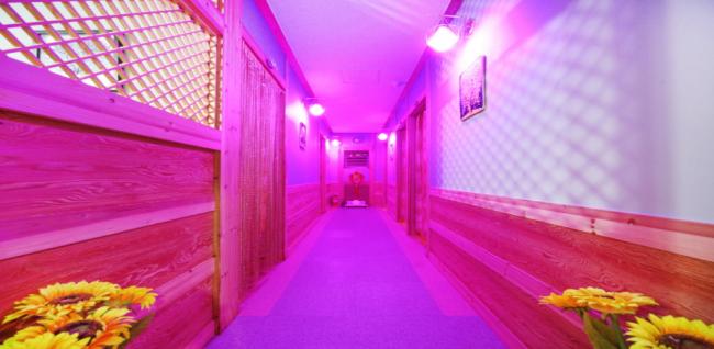 해라중국전통 (정왕)