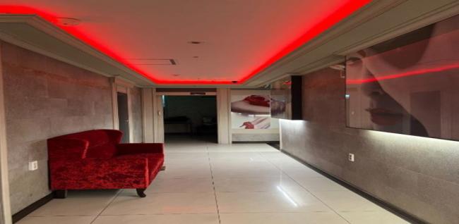 이브아로마 (상무)