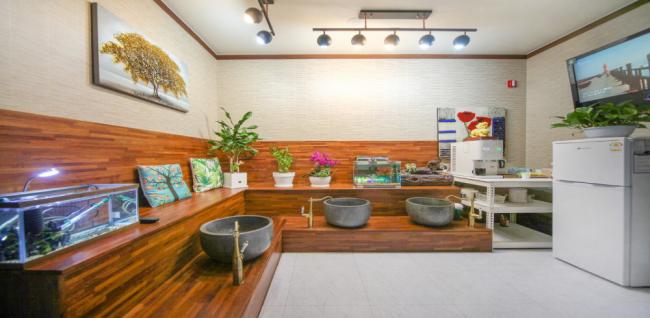 중국상하이테라피 (갈매역)