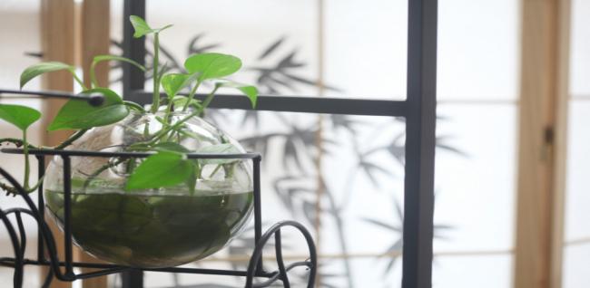 자도르스웨디시 (위례)