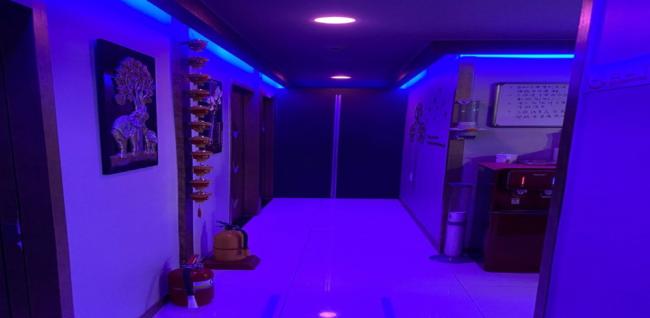 NO.1중국정통 (석정)