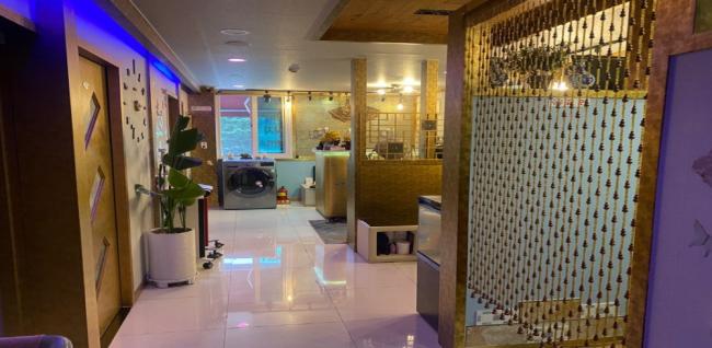 NO.1중국정통 (석정)