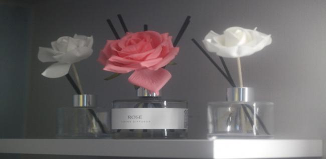 약손체형관리 (한대앞역)