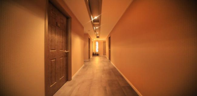 파라나타이 (암사)