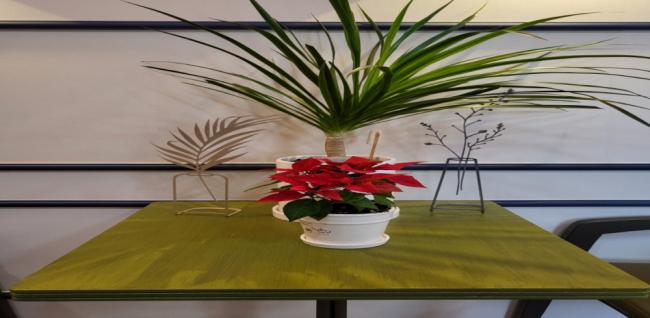  수타이아로마 (중문) 마사지샵 사진 12