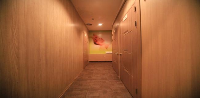 진아로마테라피 (가능역)