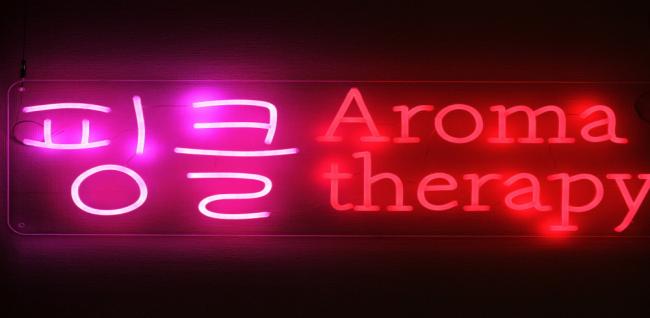 핑클스웨디시 (민락)