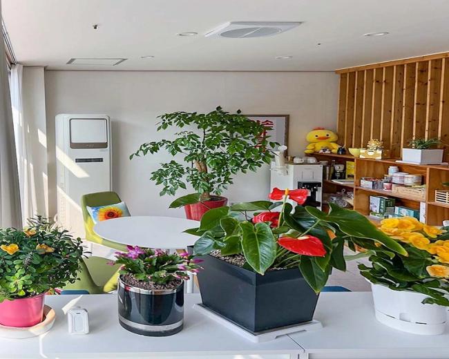 돌산읍 약손아로마