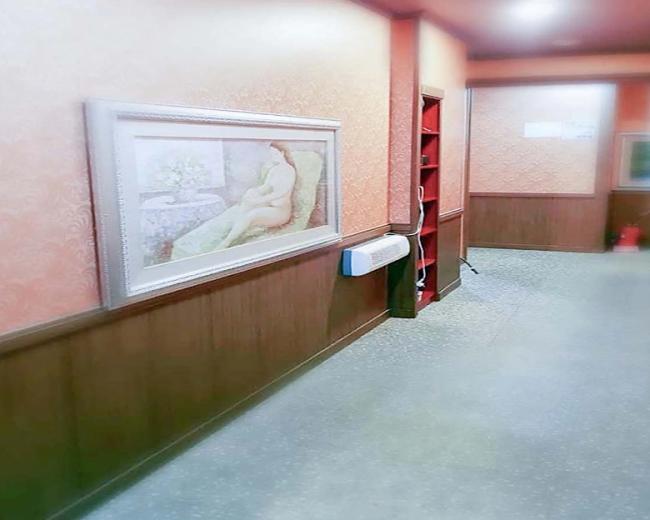 진평동 솜사탕테라피