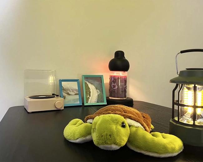 서정동 와이키키테라피