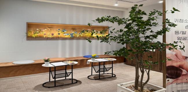 박카스바디케어 (복대)