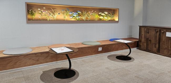 박카스바디케어 (복대)