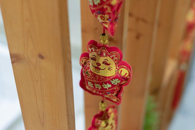 진천동 황제중국매니아