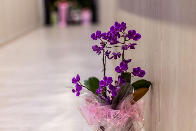  형곡동 쉴바디 마사지샵 사진 9