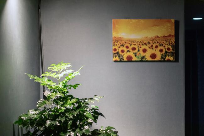 복현동 쿨아로마