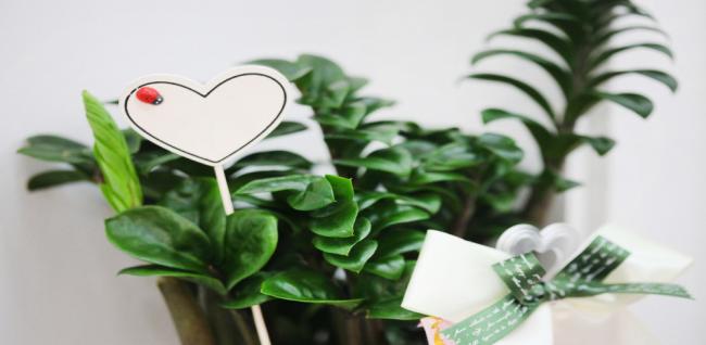 차s힐링마사지 (위례)