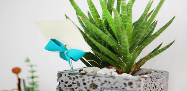 차s힐링마사지 (위례)