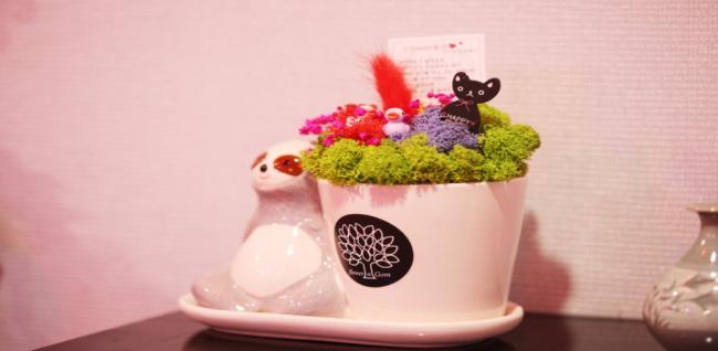 황궁베트남마사지 (인덕원)