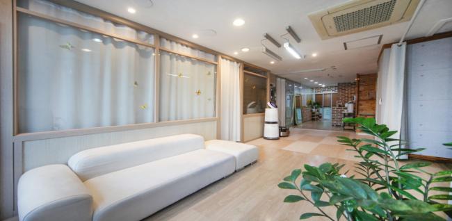 정발손테라피 (정발산역)