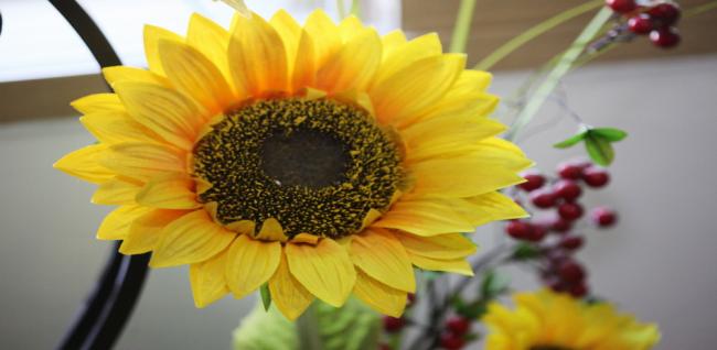 선에스테틱 (대치)