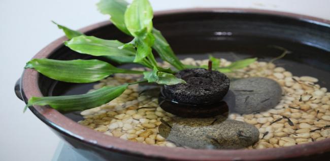 선에스테틱 (대치)