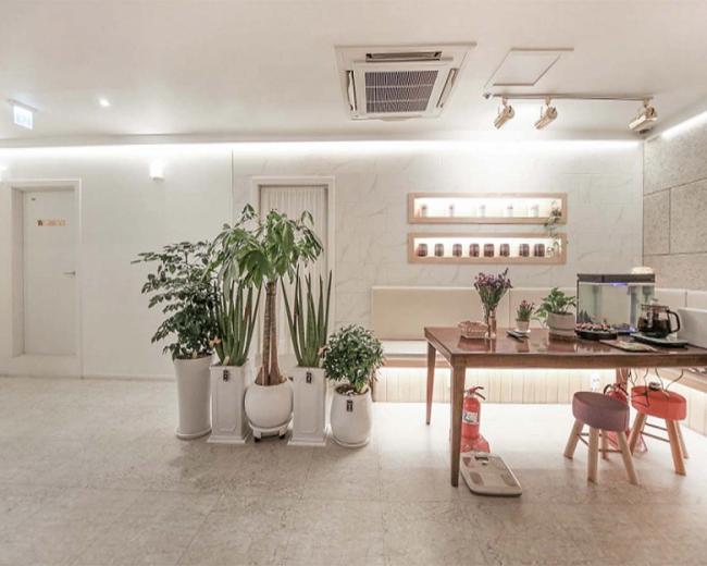 정자동 프리메드수기센터(분당)