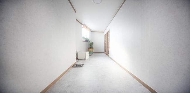 약손정통발관리 (태전)