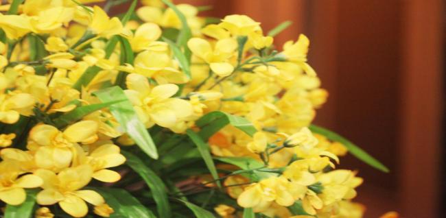 궁마사지 (수완)