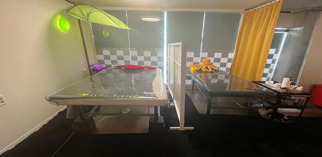 하와이테라피 (송탄서정)