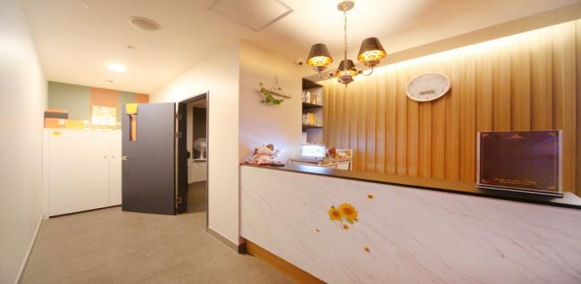  사이다테라피 (연산) 마사지샵 사진 2