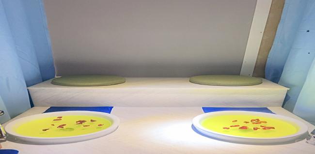 베트남힐링88 (후평)