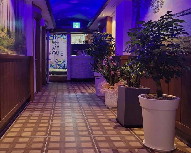 송림동 비비테라피