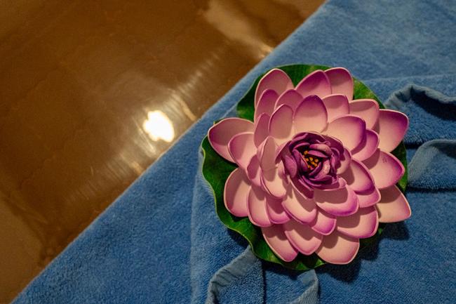 평촌역 나비테라피