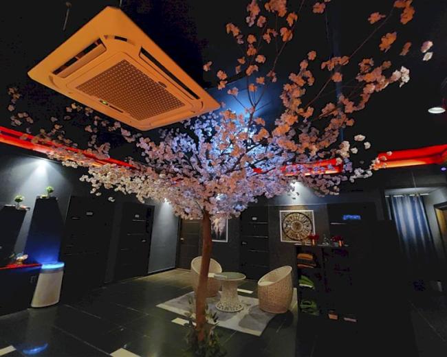  진량읍 청담더테라피 마사지샵 사진 2