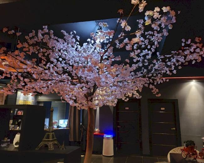  진량읍 청담더테라피 마사지샵 사진 3