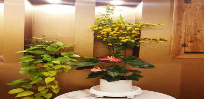  차이나바디샵 (나성) 마사지샵 사진 3